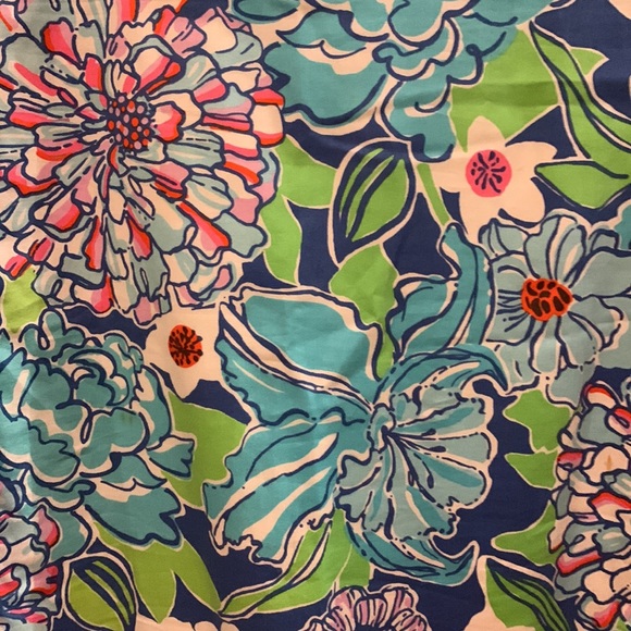 Lilly Pulitzer Dress. EUC. Size 10. - Picture 2 of 2